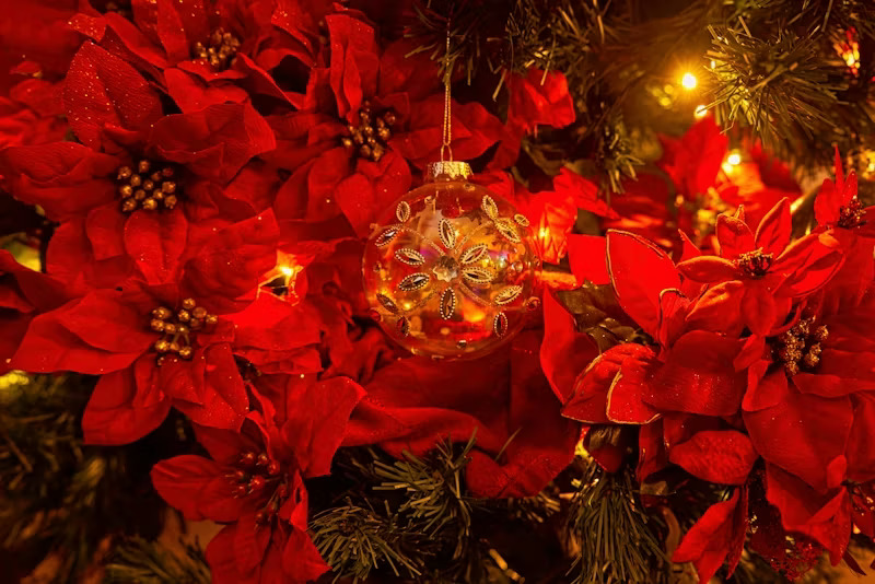 Natale 2025