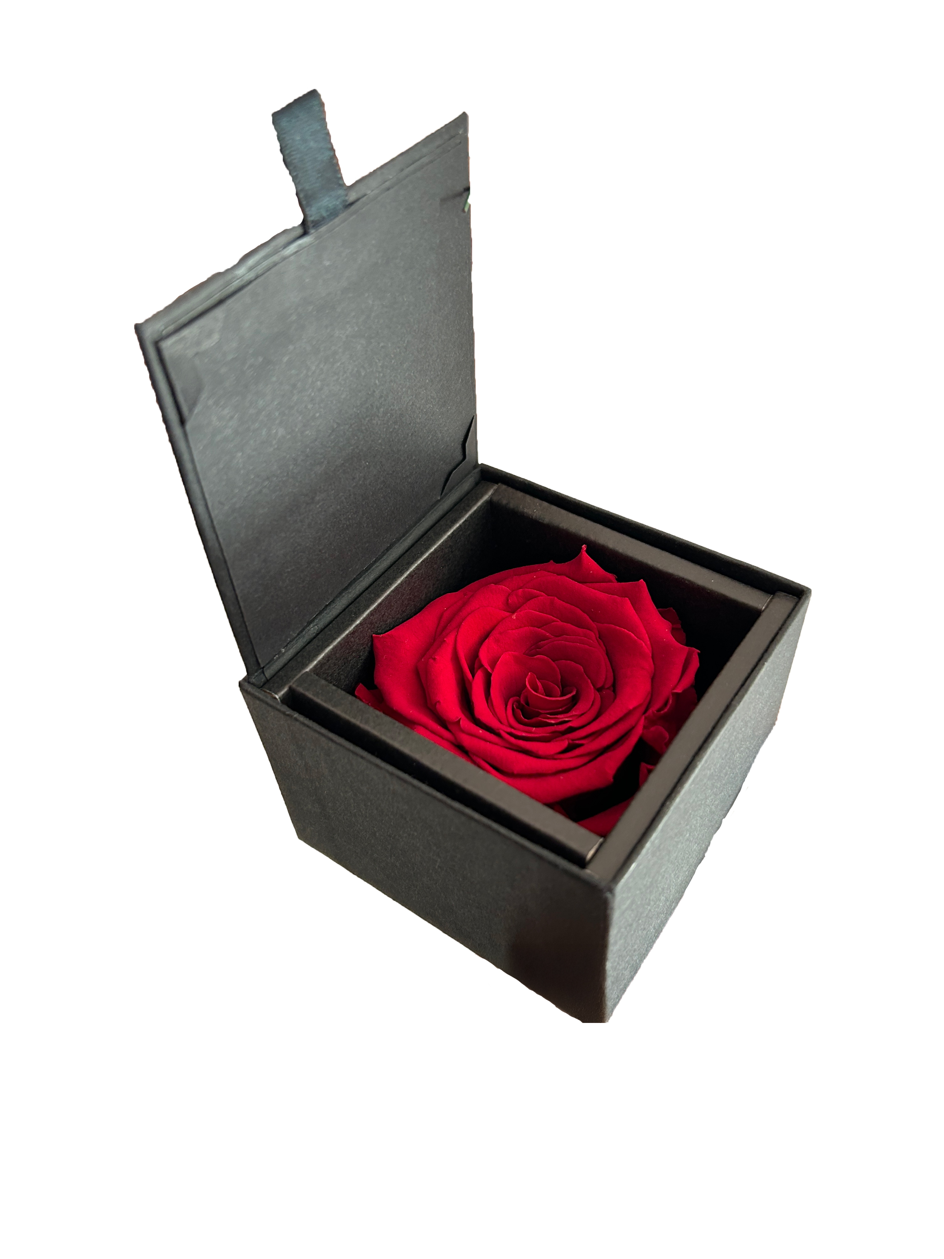 Rosa Stabilizzata Rossa con scatola nera